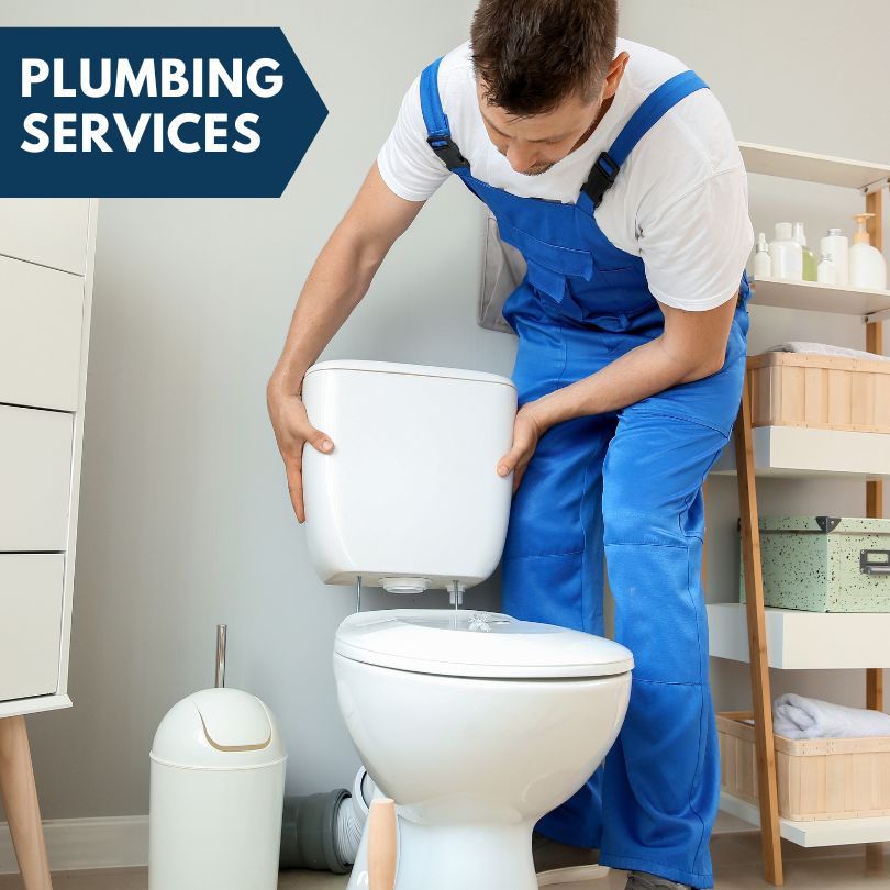 Plumbing Company in Zirconia, NC
